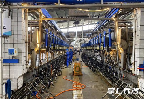 數字技術成農業生產“新農具” 智能設備助推長沙農業產業提質升級與溫泉設備技術研發新動向